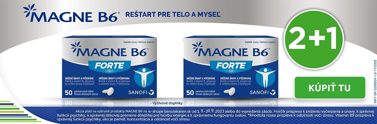 MAGNE B6 2+1