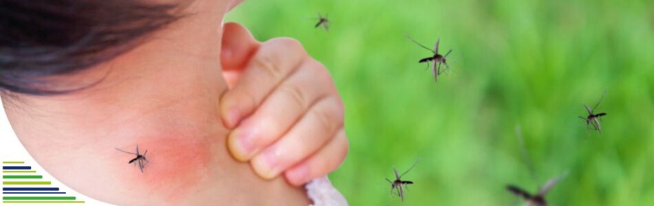 Ako zvíťaziť nad komármi