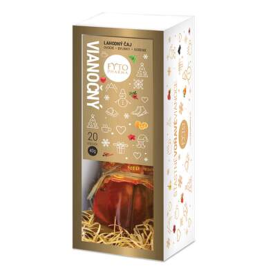 FYTO Darčeková kazeta Vianoce porciovaný 20x2 g + med 250 g 1 set