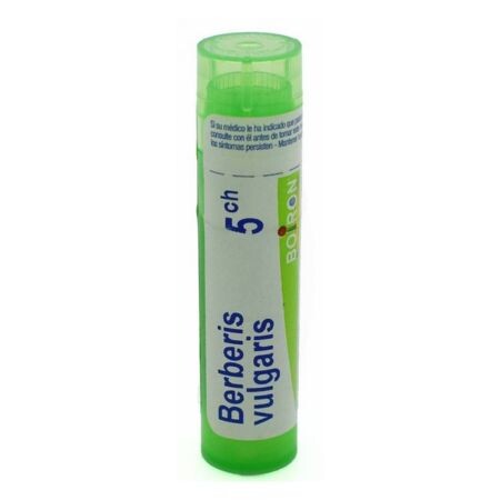 BERBERIS VULGARIS 5CH granule 4 g