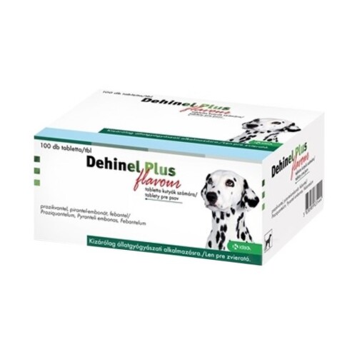 DEHINEL Plus flavour 100 tabliet