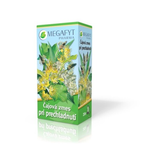 MEGAFYT Čajová zmes pri prechladnutí 20 x 1,5 g