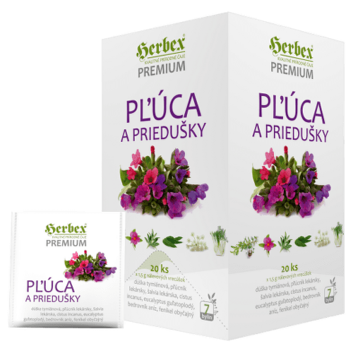 HERBEX Premium Pľúca a priedušky bylinná zmes 20 x 1.5 g kúpite na Benulekaren.sk