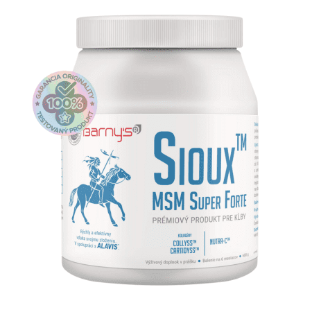 BARNY'S Sioux MSM Super Forte 600 g kúpite na Benulekaren.sk
