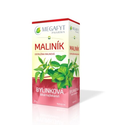 MEGAFYT Bylinková lekáreň ostružina malinová 20 x 1,5 g