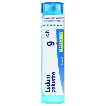 LEDUM PALUSTRE 9CH granule 4 g
