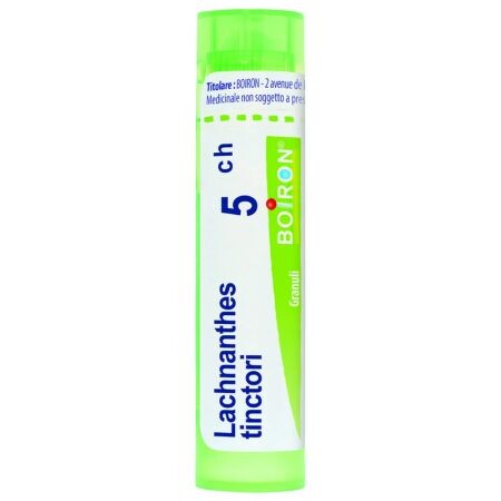 LACHNANTHES TINCTORIA 5CH granule 4 g