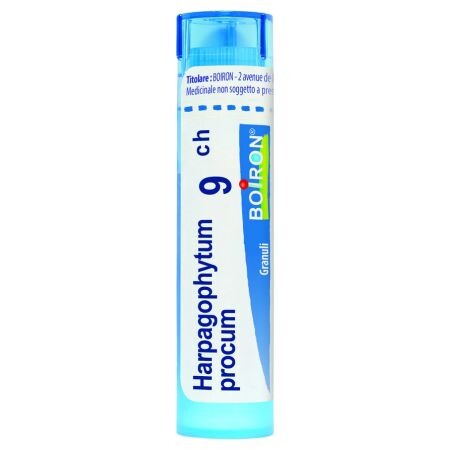 HARPAGOPHYTUM PROCUMBENS 9CH granule 4 g