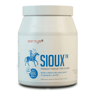 BARNY\'S Sioux MSM super forte 600 g
