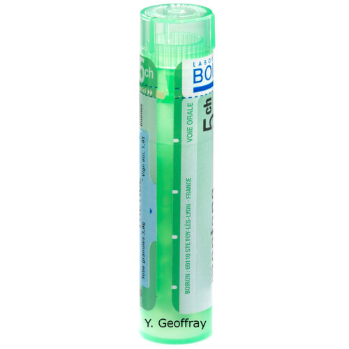 HEPAR SULFURIS CALCAREUM 5CH granule 4 g kúpite na Benulekaren.sk