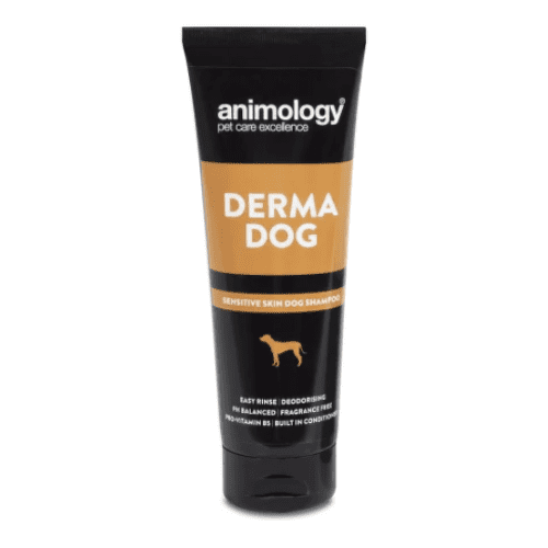 E-shop ANIMOLOGY Derma dog šampón pre psov 250 ml