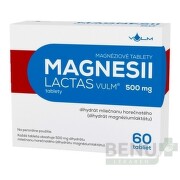 MAGNESII LACTAS VULM 500 mg 1x60 ks tbl 60