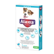 ATAXXA 500 mg/100 mg psy od 4kg do 10 kg roztok 1 ml