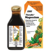 SALUS Floradix magnesium 250 ml