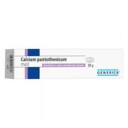 GENERICA Calcium pantothenicum masť 30 g
