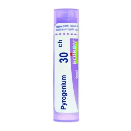 PYROGENIUM 30CH granule 4 g