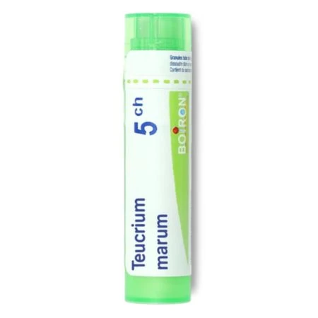 TEUCRIUM MARUM 5CH granule 4 g