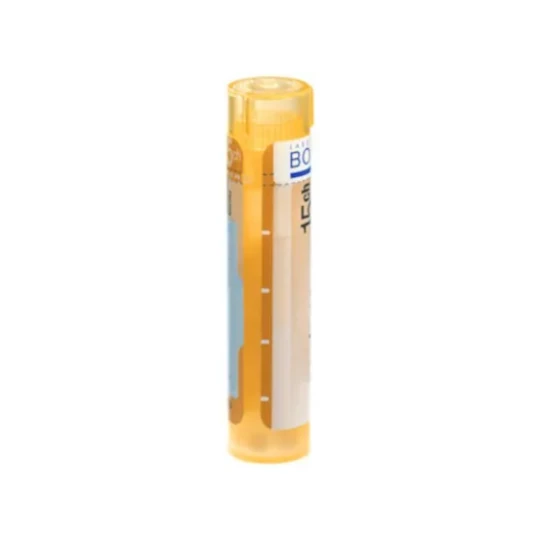 ZINCUM Metallicum gra hom ch15 4 g