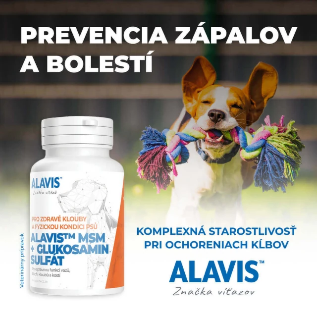 ALAVIS MSM + Glukozamín sulfát 60 tabliet