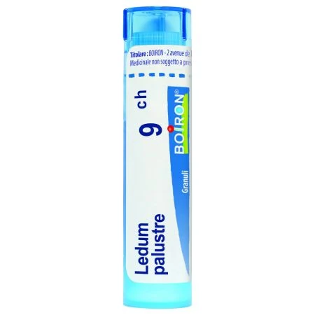 LEDUM PALUSTRE 9CH granule 4 g