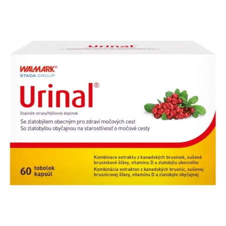URINAL 60 kapsúl