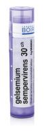 GELSEMIUM SEMPERVIRENS 30CH granule 4 g