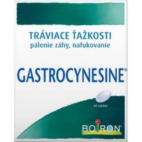 GASTROCYNESINE 60 tabliet