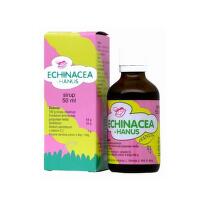 HANUS Echinacea sirup detský 50 ml