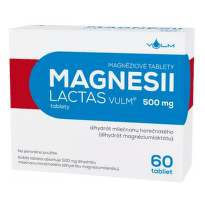MAGNESII Lactas vulm 500 mg 60 tabliet