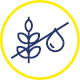 gs magnezium