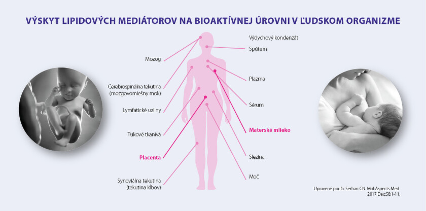 OBRAZOK MEDIATOROV SCHEMA