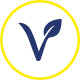 gs magnezium